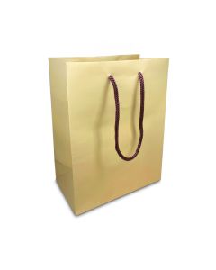 6'' X 8'' BEIGE/BROWN BAGS (12)