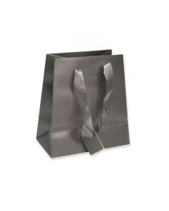 6'' x 6.25'' SILVER BAGS (12)