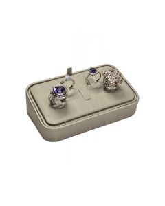 METALLIC BEIGE 5 RING DISPLAY