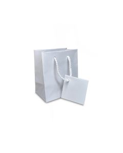 3" X 3.5" GLOSSY WHITE BAGS (20)