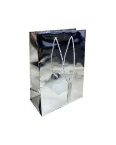 4.75" X 6.7 METALIC SILVER BAG (20)