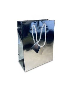 8" X 10" METALIC SILVER BAG (20)