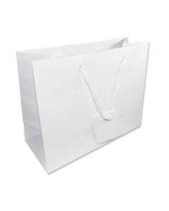 9.5X7.5 GLOSSY WHITE TOTE BAG (10)